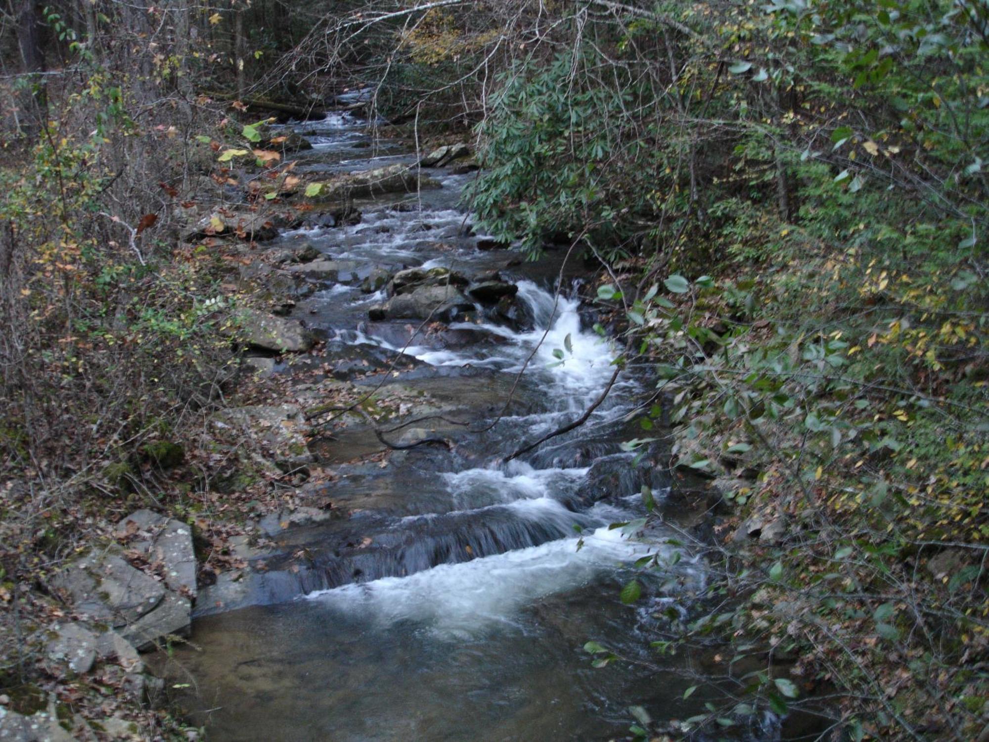 Appartamento Stairway To Heaven, Breathtaking Mtn Views Indoor Pool & Hot Tub Gatlinburg Esterno foto