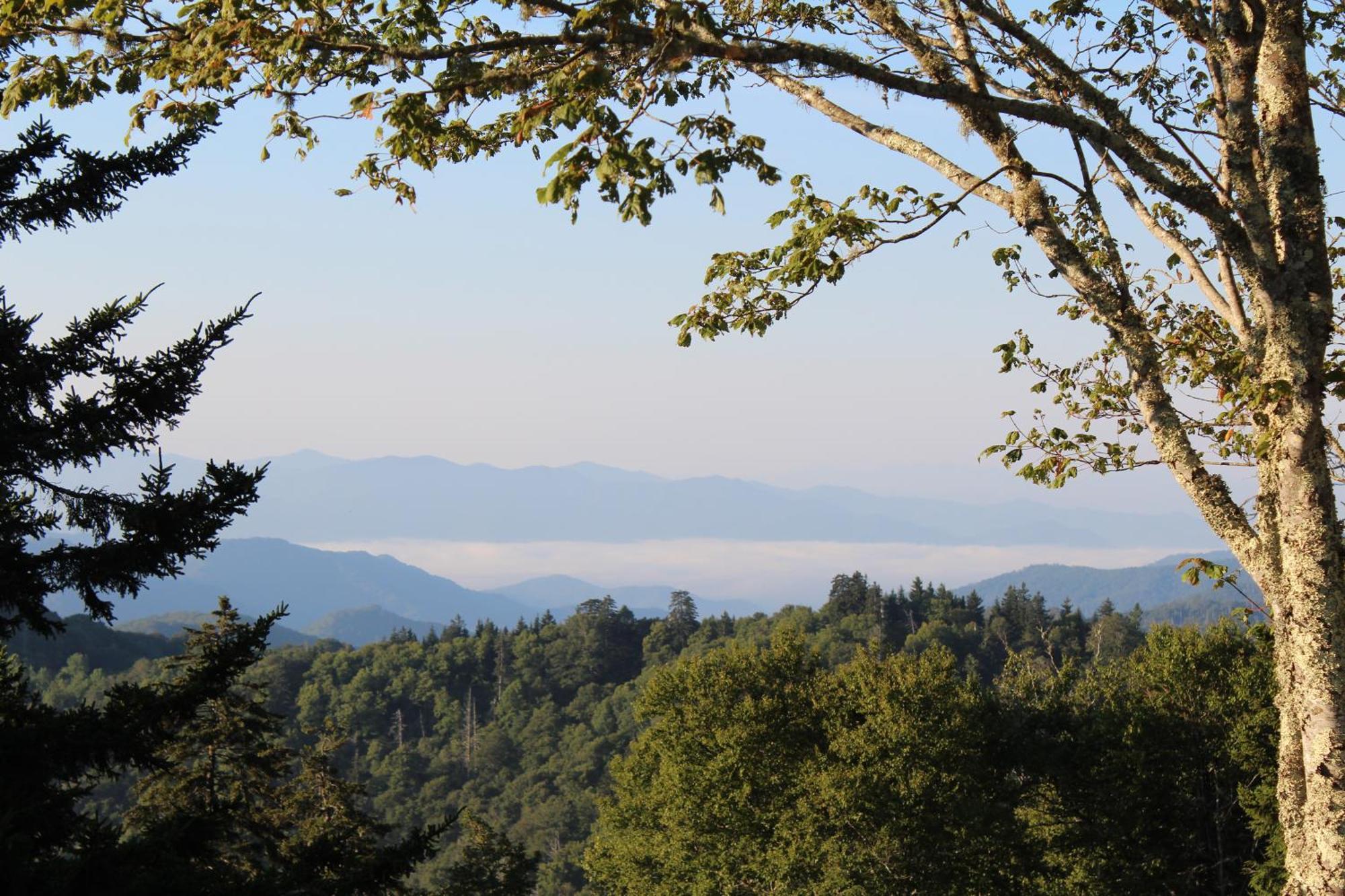 Appartamento Stairway To Heaven, Breathtaking Mtn Views Indoor Pool & Hot Tub Gatlinburg Esterno foto